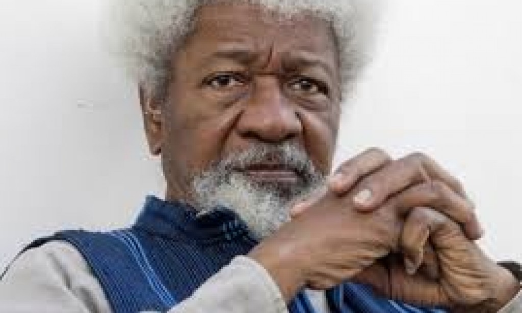Soyinka's Lamentation & Our Albatross On Education