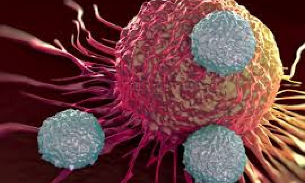 Healthy rules to follow daily