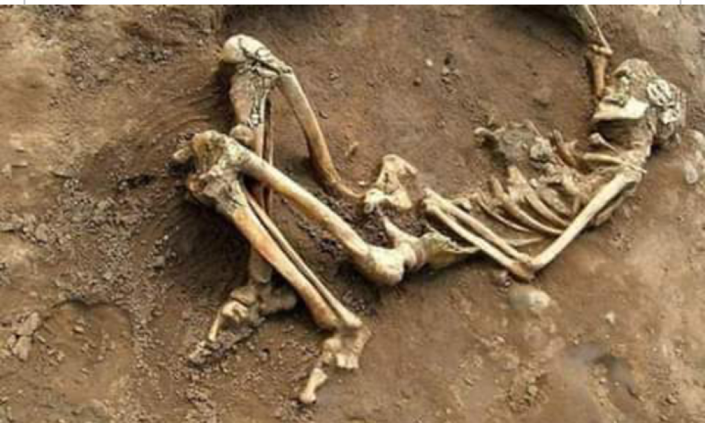 Reflection: human is nothing but bone, sand and nothing