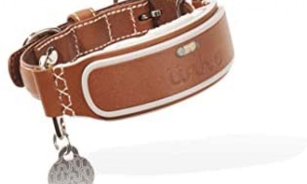 LINK AKC Smart-Collar