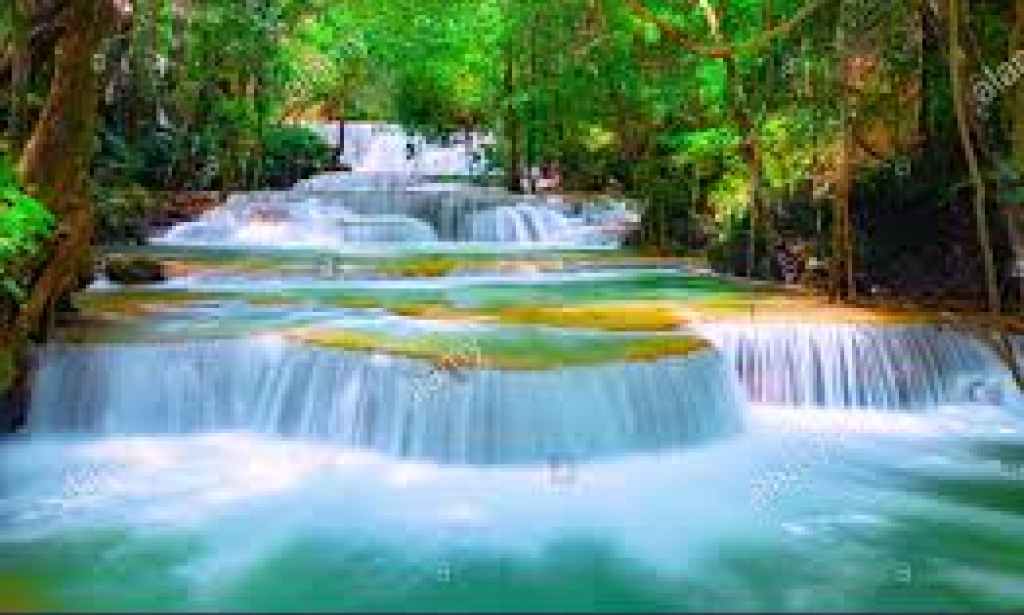 Smell the Beauty of Nature, a Collection of Poems