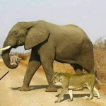 Bhushan Ramesh Ingle