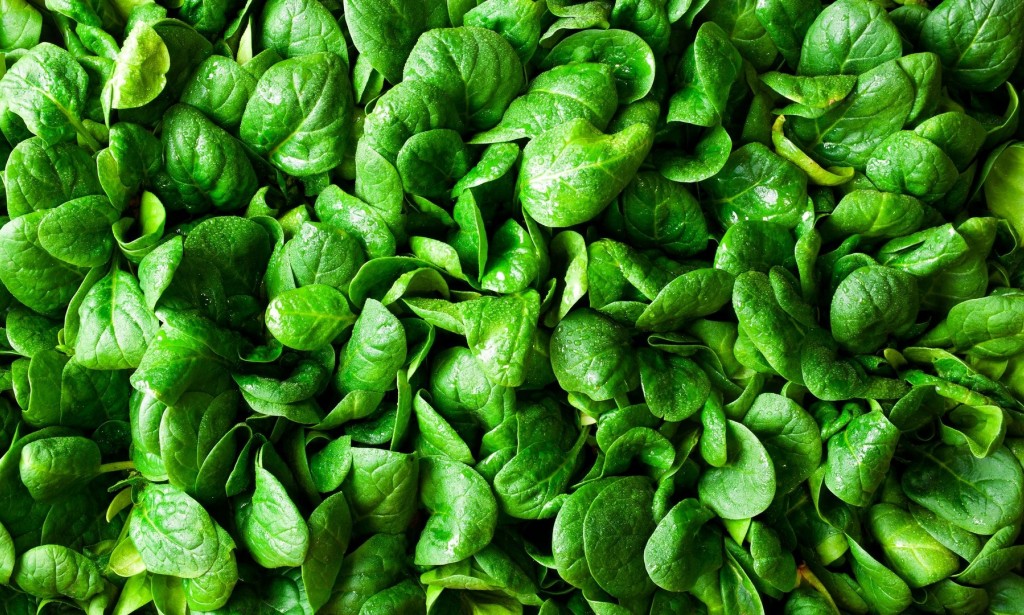 Getting the Most Lutein from SPINACH
