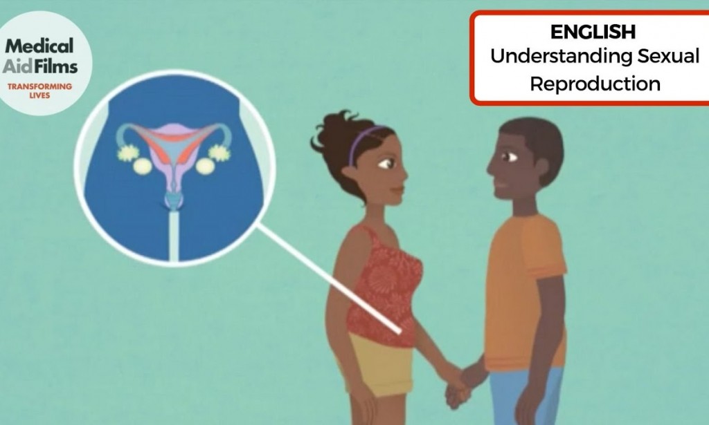 Reproductive sex vs. Recreational sex