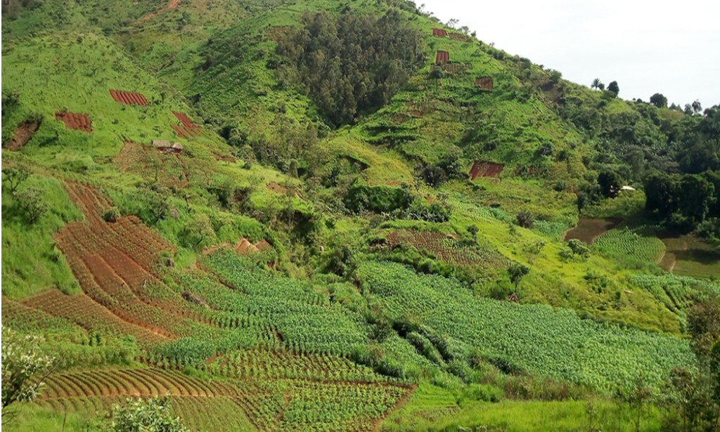 FOCUS ON JUKUN, KAKA AND MAMBILA  ETHNIC NATIONALITIES IN TARABA STATE, NIGERIA.