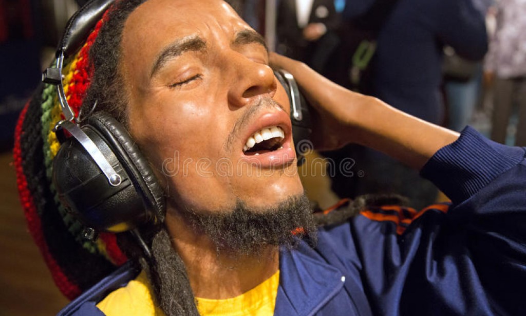 RUNNING AWAY FROM ONE’S SHADOW:  A Recluse President & The Ember Of Fake News  By  Tunji Ajayi