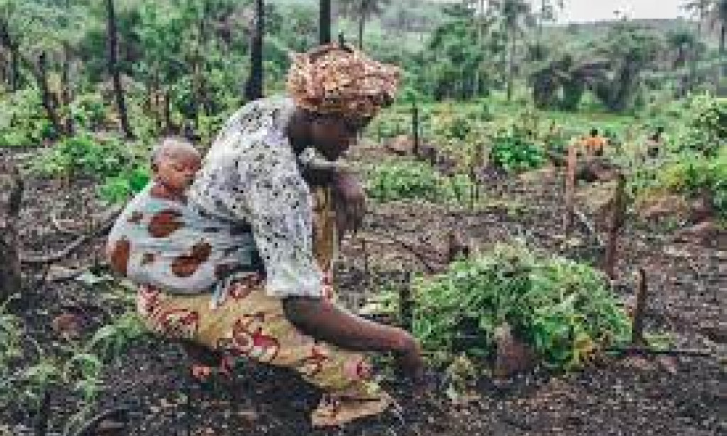 A Day in the Life of an African Wife