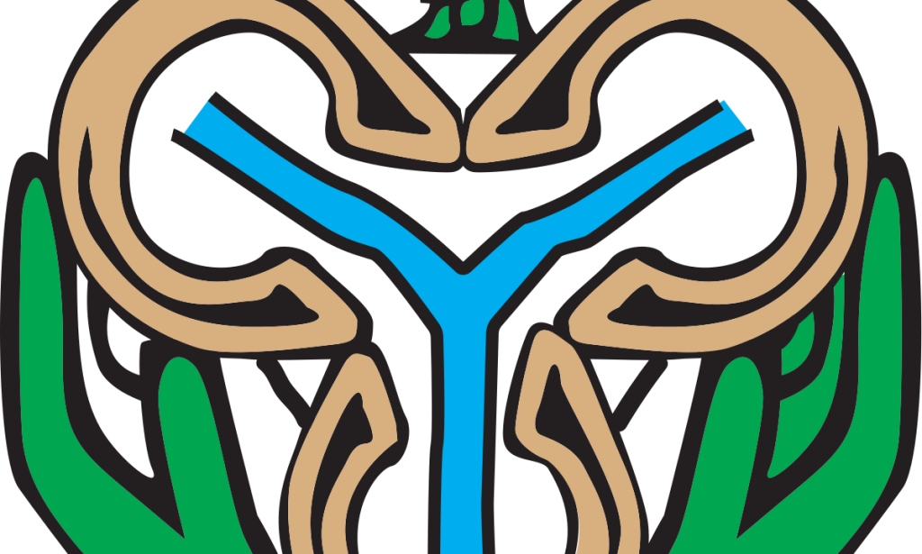 How does the Nigeria Central Bank price verification system Portal work